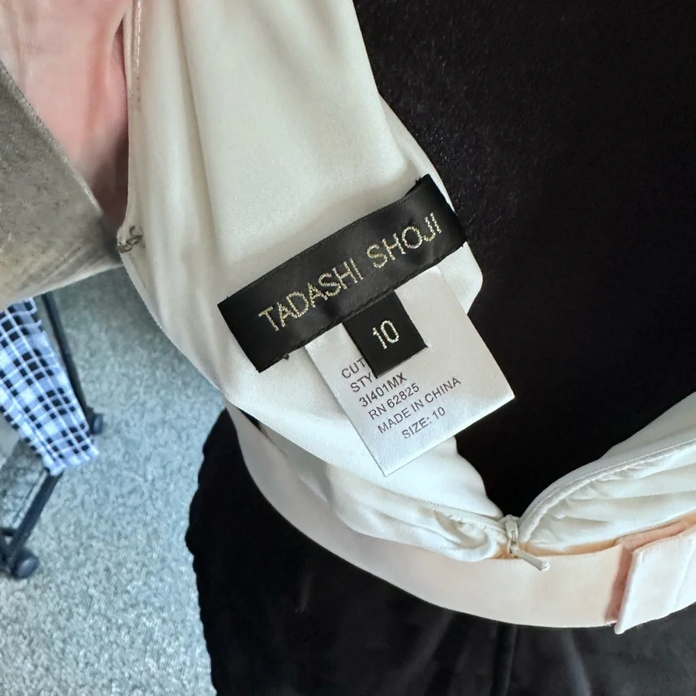 Tadashi Shoji Ivory And Black Pleated Dress - Picture 5 of 5